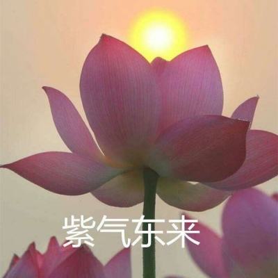 大力粉碎一切官方版下载